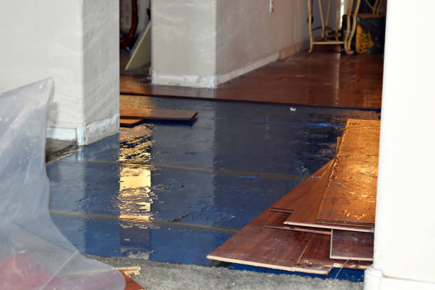 Professional Flood Cleanup technician working in Durant, IA